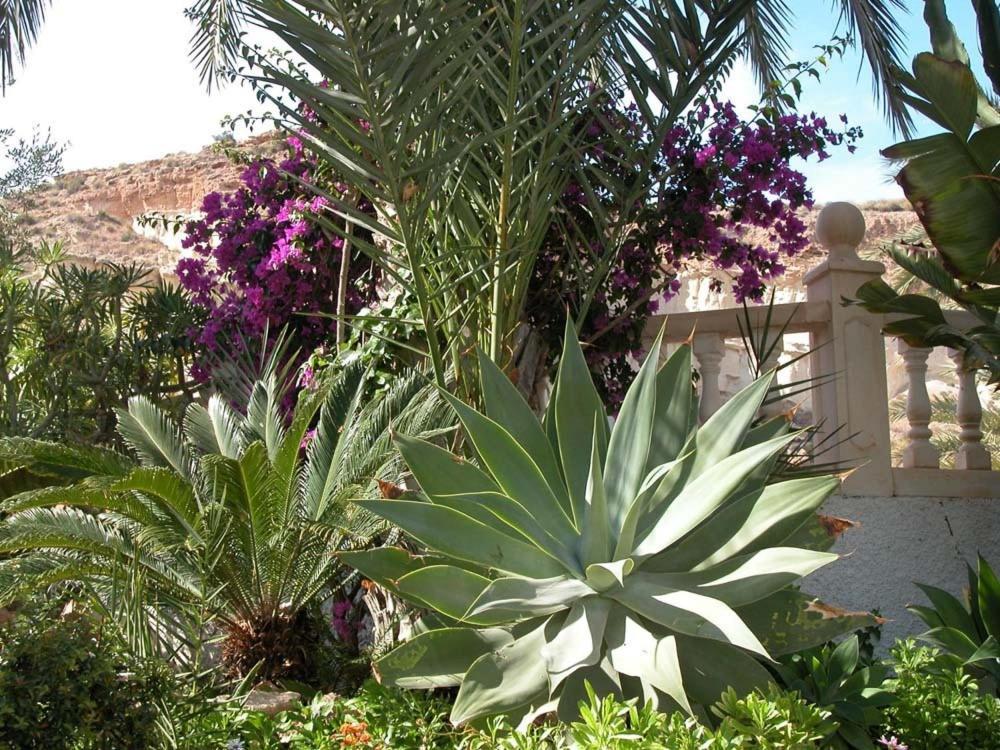 Apartamentos Oasis De Las Palmeras Bolnuevo Exterior photo